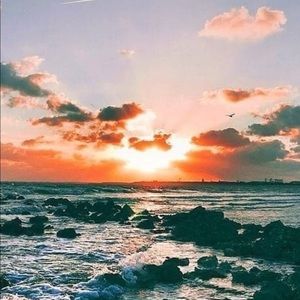 Meet your Posher, Ella